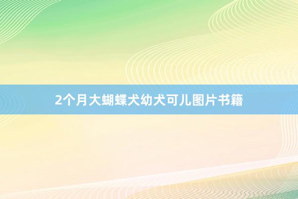 2个月大蝴蝶犬幼犬可儿图片书籍