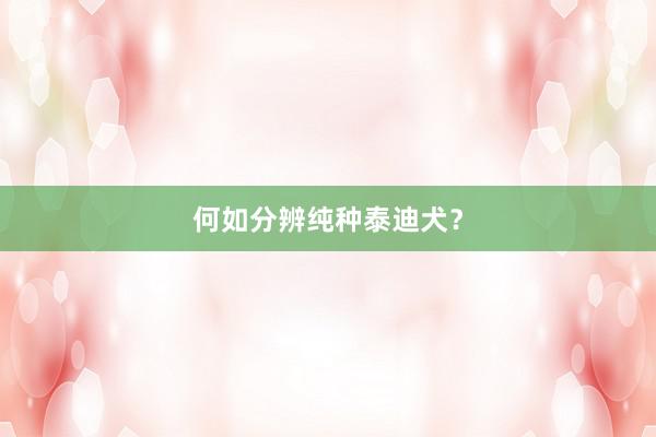 何如分辨纯种泰迪犬？