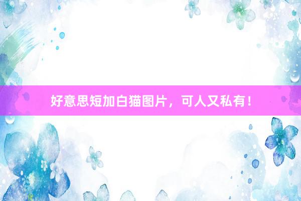 好意思短加白猫图片，可人又私有！